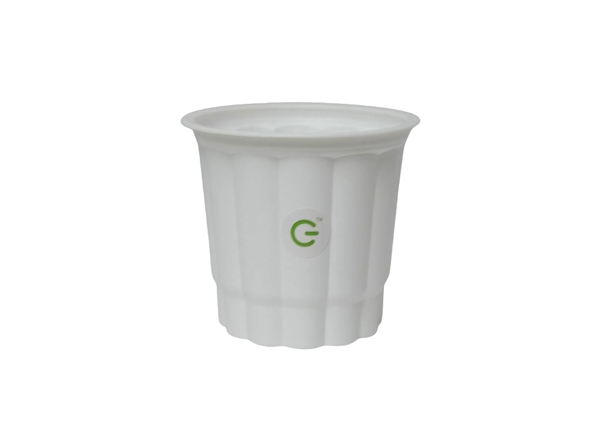 Only Earthy 400ml Compostable Glass