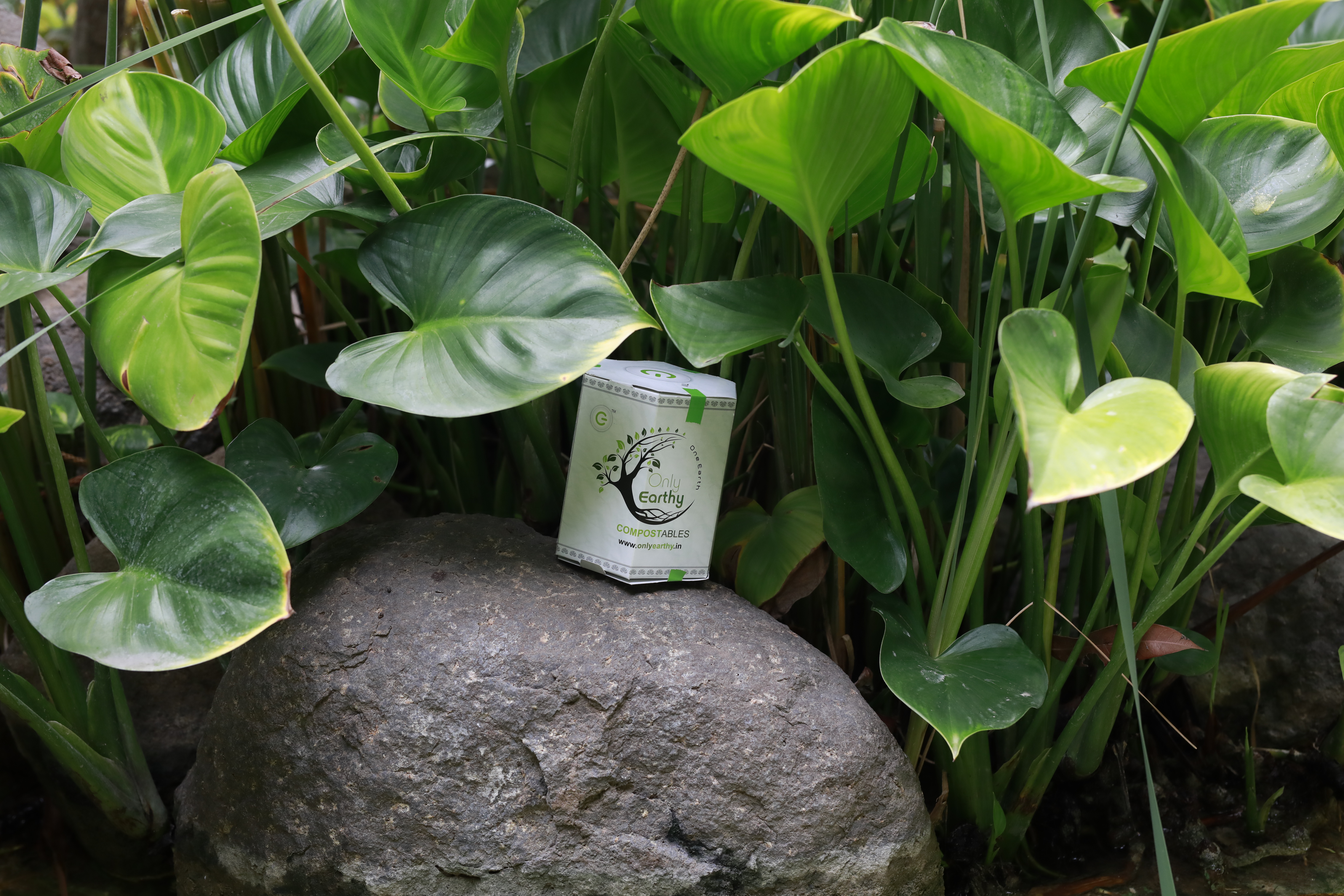 400ml Event Pack Wholesale