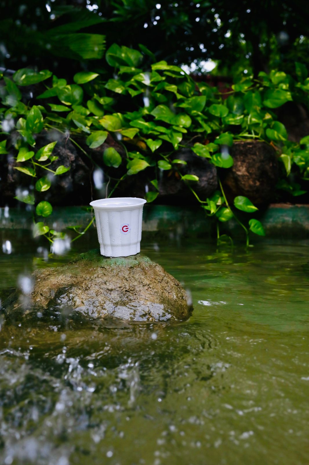 Thumbnail 2 Color Detail